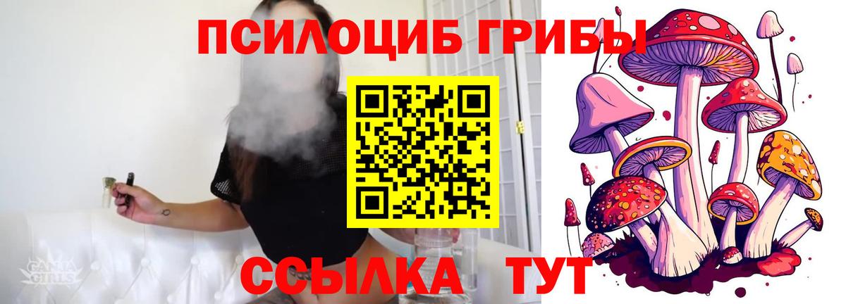 Каменск-Шахтинский  хочу   Вход с VPN  Псилоцибиновые грибы Magic Shrooms 