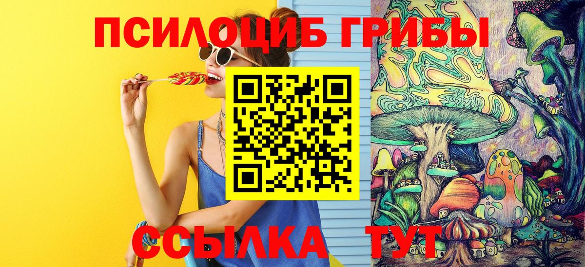 Псилоцибиновые грибы Psilocybine cubensis Каменск-Шахтинский